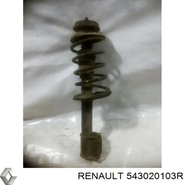 Купить 543020103R Renault (RVI) Амортизатор передней подвески
