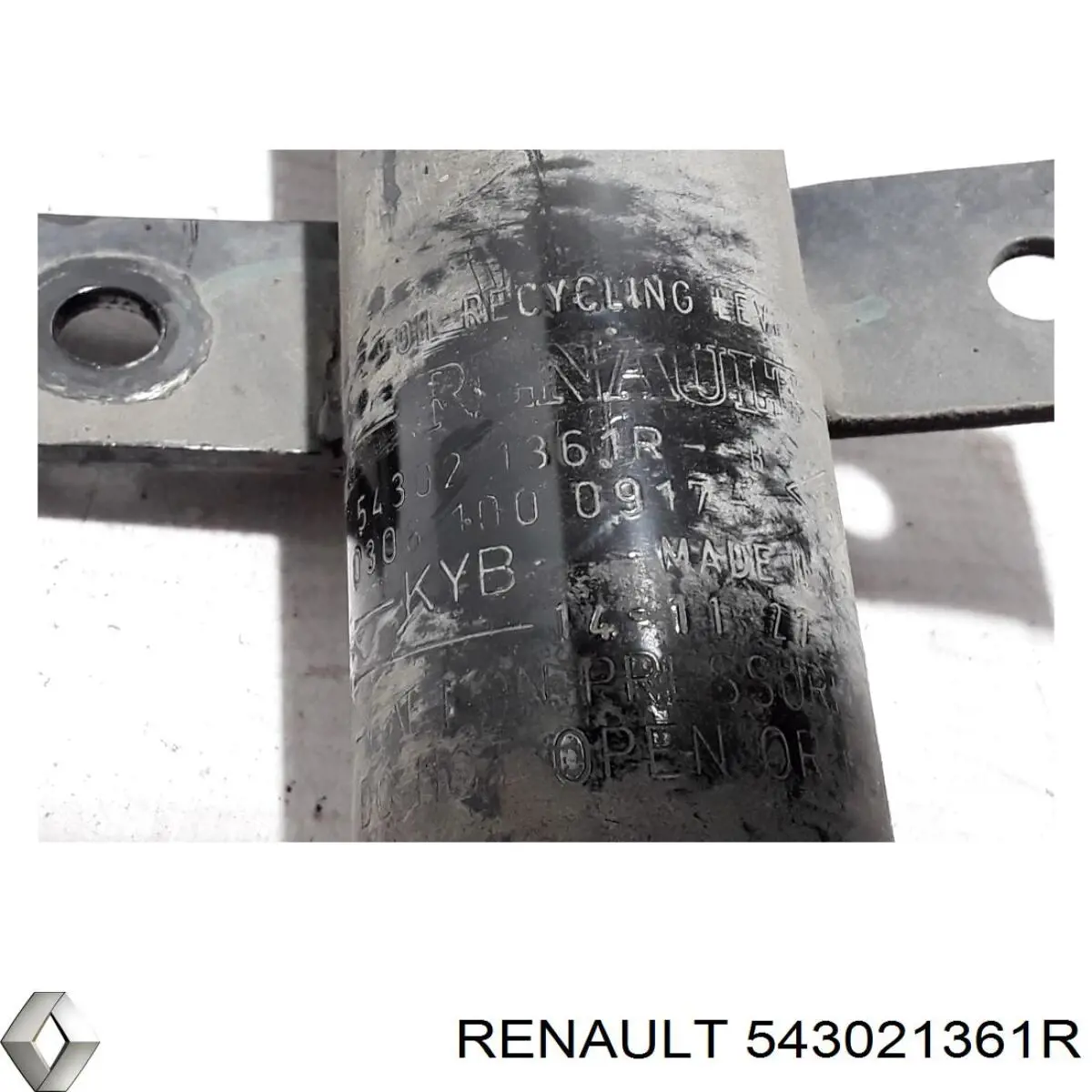 Амортизатор передний 543021361R Renault (RVI)