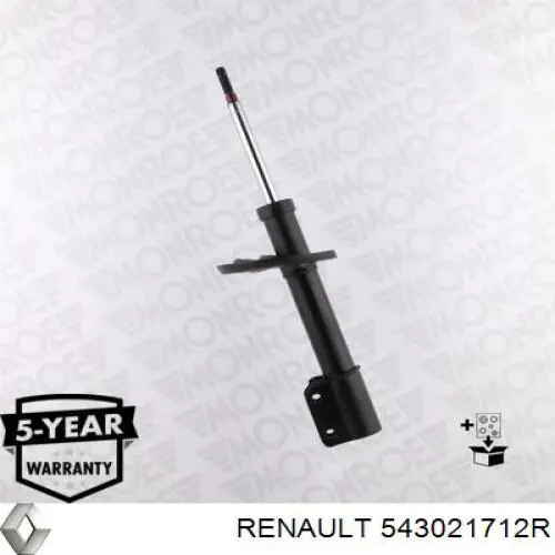 543021712R Renault (RVI)