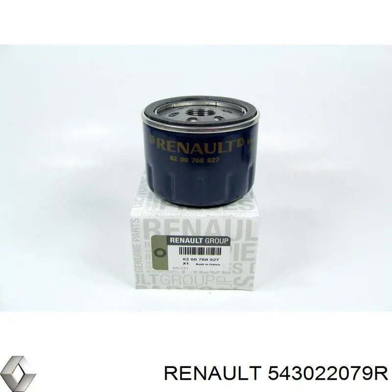 Купить 543022079R Renault (RVI) Амортизатор передней подвески