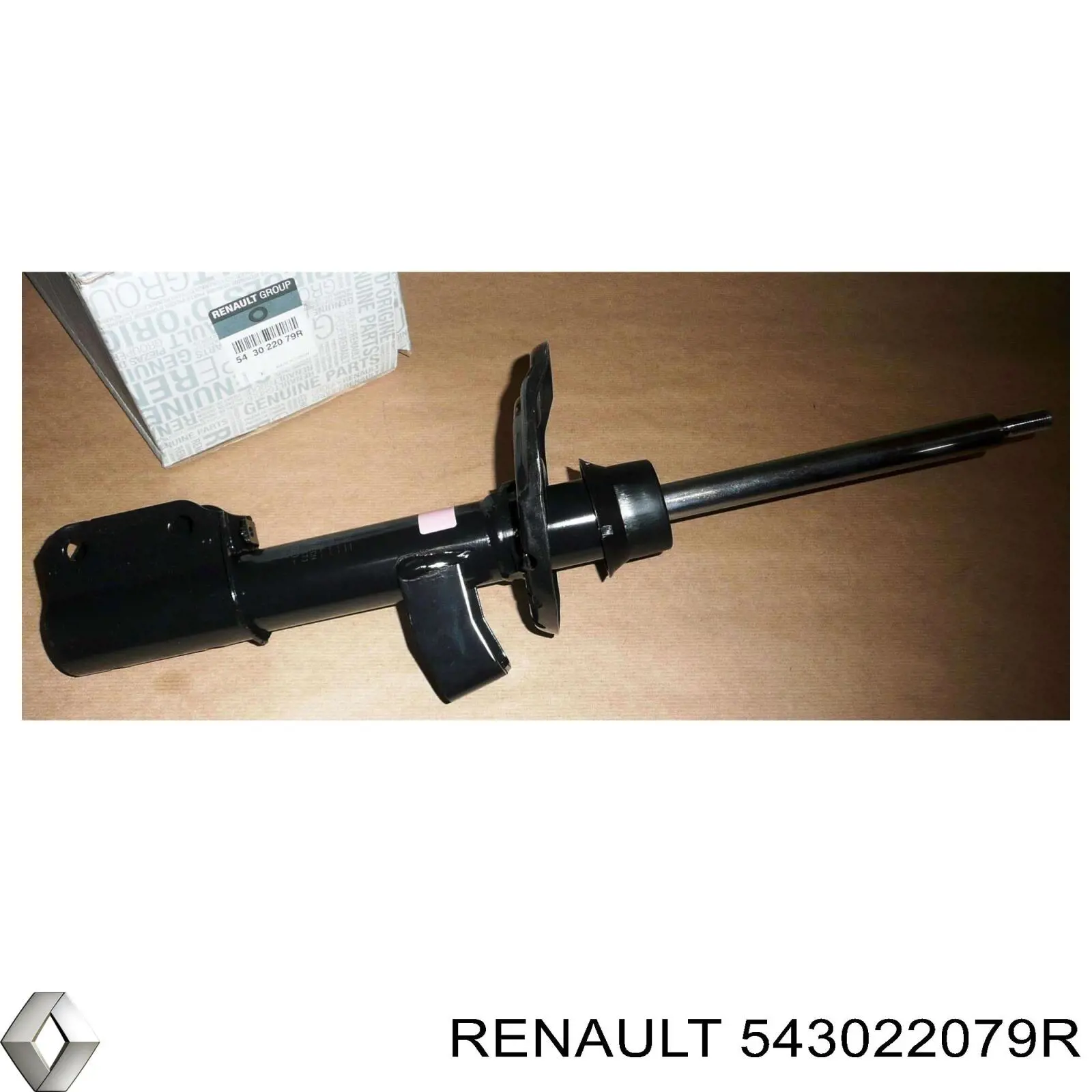 543022079R Renault (RVI) 