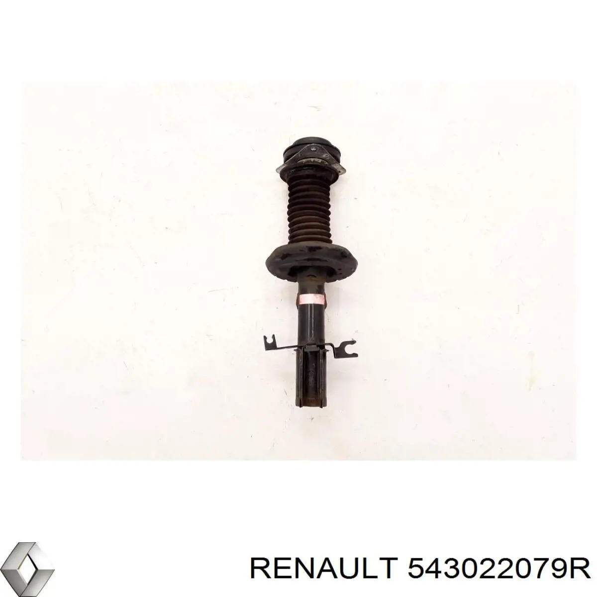 Амортизатор передний 543022079R Renault (RVI)