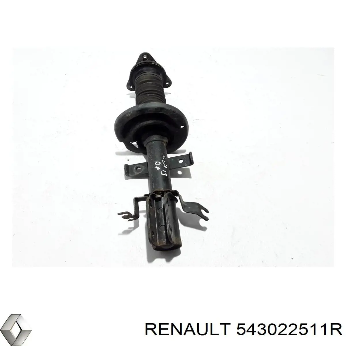 543022511R Renault (RVI) amortecedor dianteiro