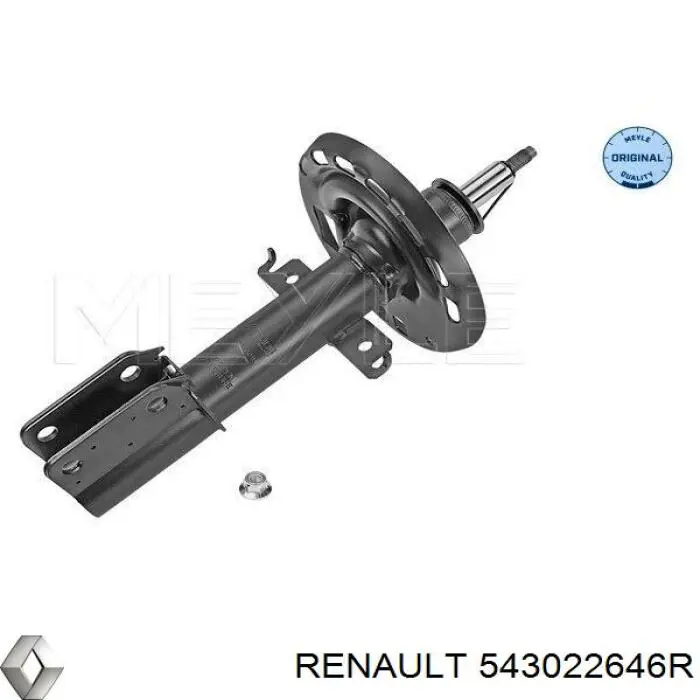 Амортизатор передний 543022646R Renault (RVI)