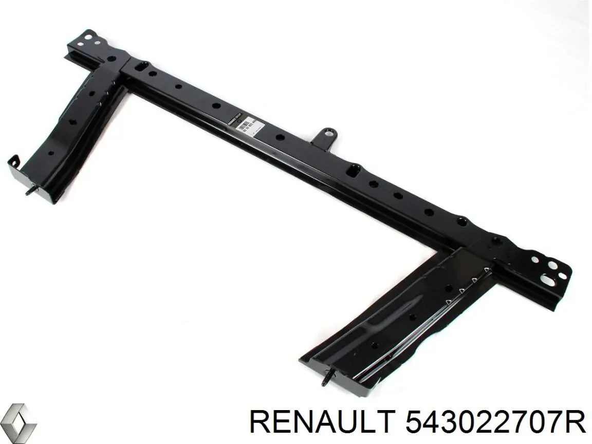 Амортизаторы передние Renault (RVI) 543022707R