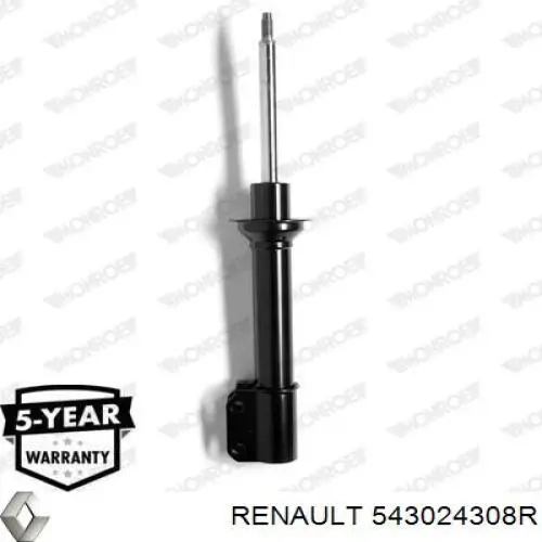 Amortiguador delantero 543024308R Renault (RVI)