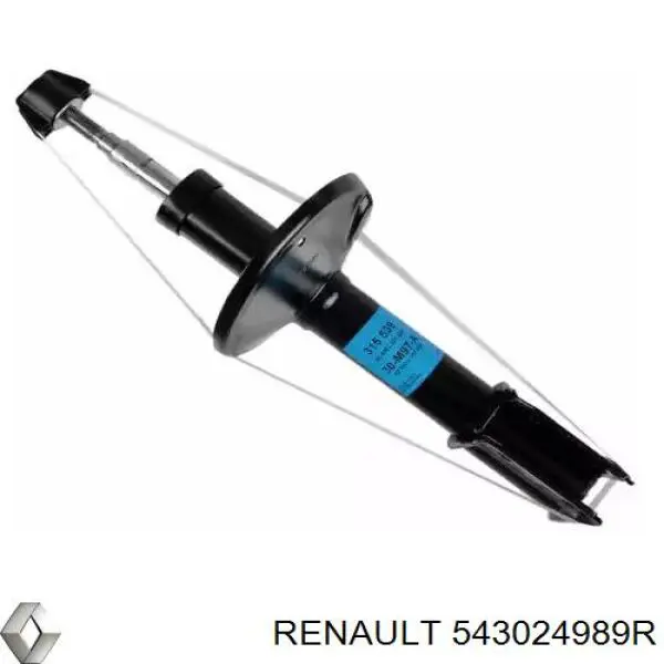 543024989R Renault (RVI) амортизатор передний