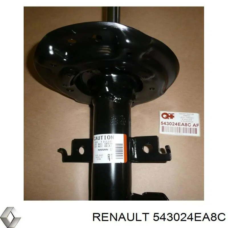 Амортизатор передний правый Renault (RVI) 543024EA8C