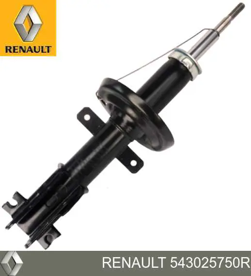 543025750R Renault (RVI) amortecedor dianteiro