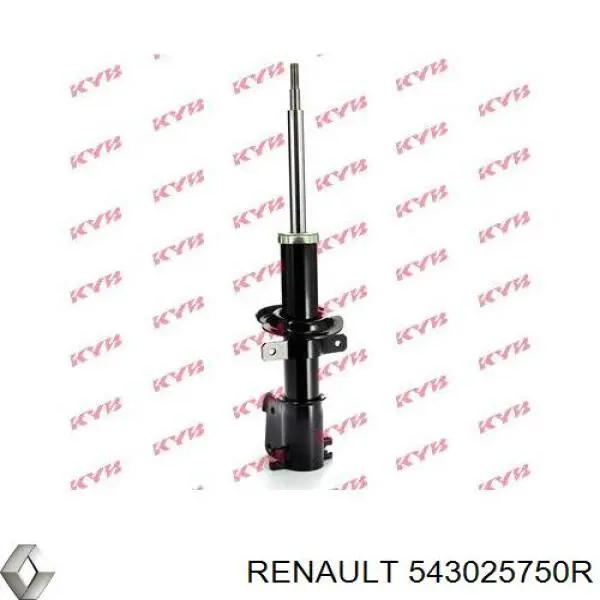 Амортизаторы передние Renault (RVI) 543025750R