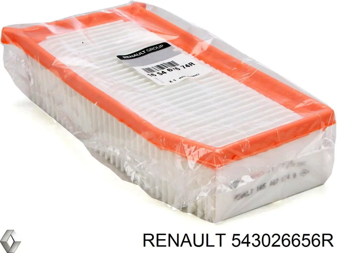 Амортизатор передний 543026656R Renault (RVI)