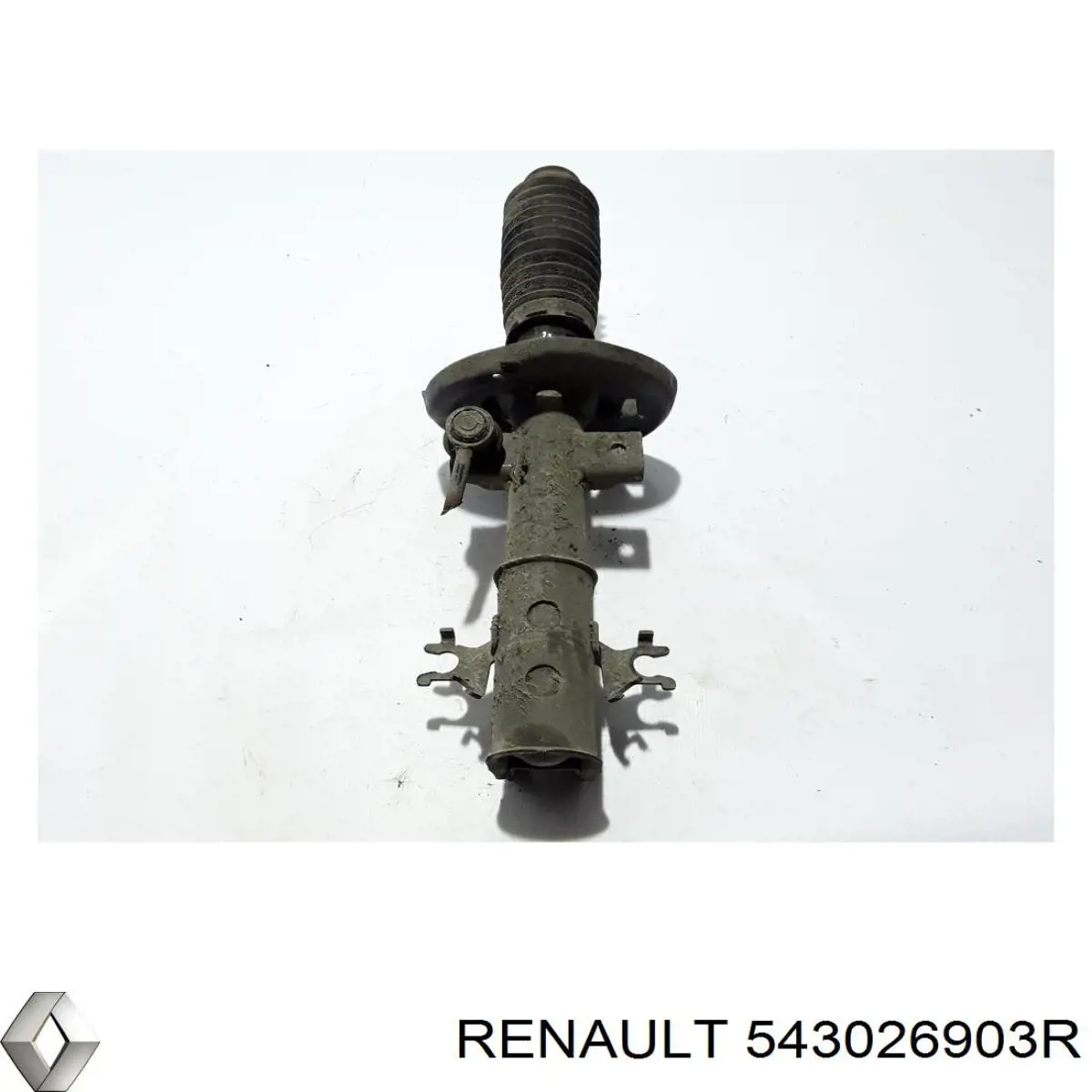 Амортизатор передний правый Renault (RVI) 543026903R