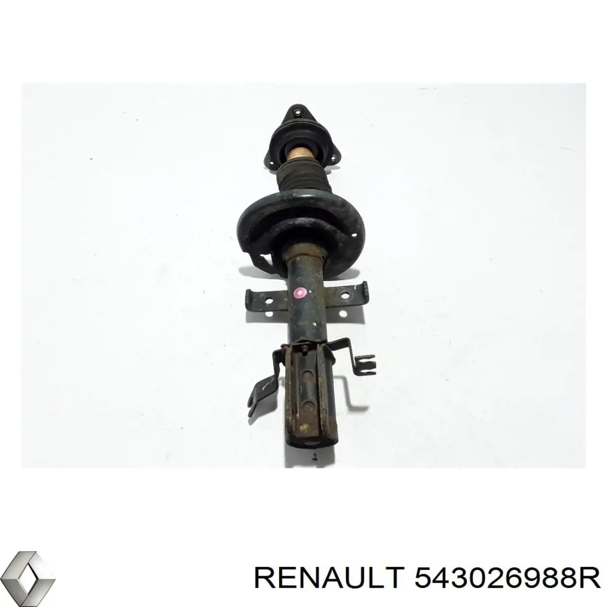 Стойка амортизатора передняя Renault (RVI) 543026988R цена, от 60.37 USD