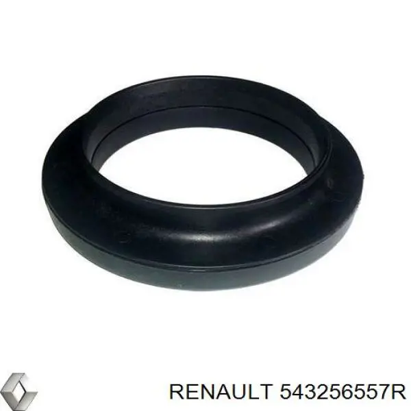 543256557R Renault (RVI)