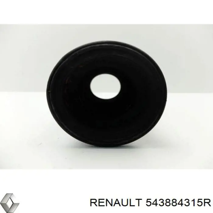 543884315R Renault (RVI) bota de proteção de amortecedor dianteiro