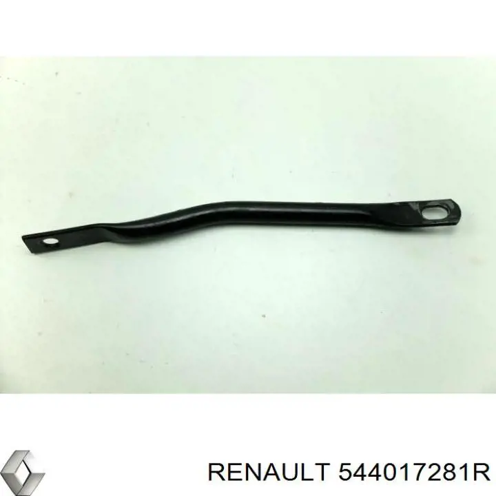  Renault (RVI) 544017281R