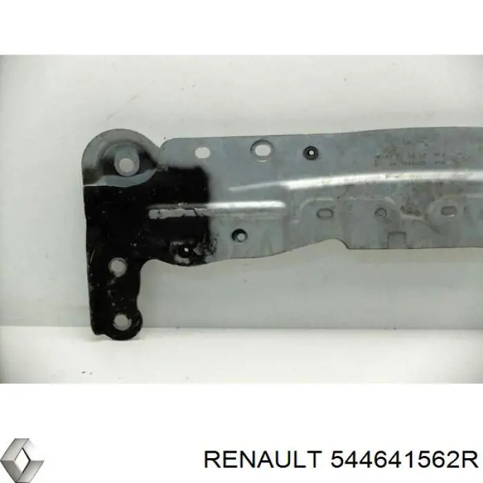 Купить 544641562R Renault (RVI) 