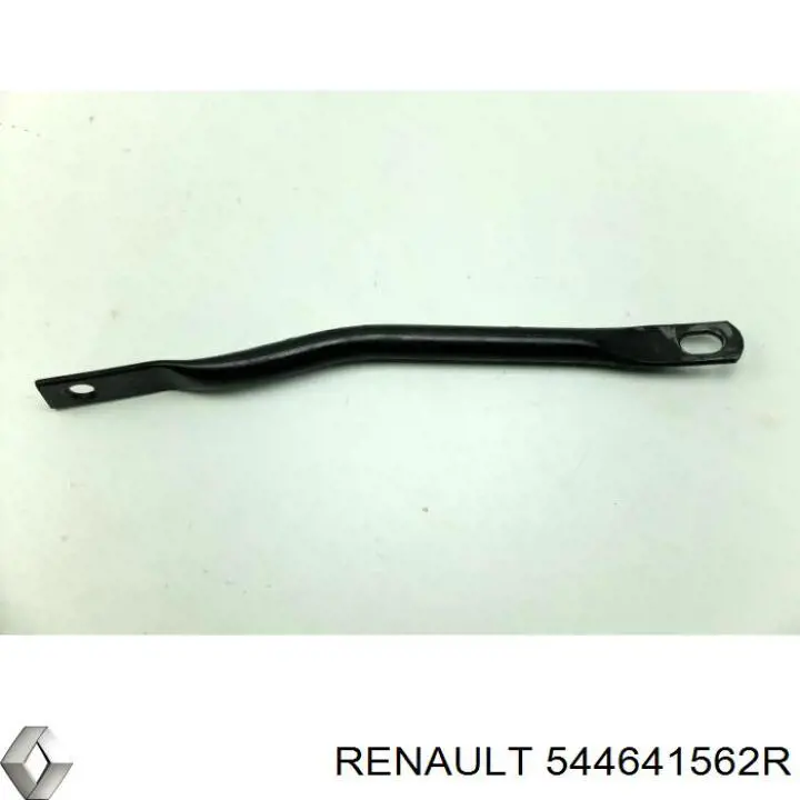  544641562R Renault (RVI)