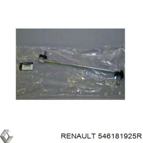 546181925R Renault (RVI)