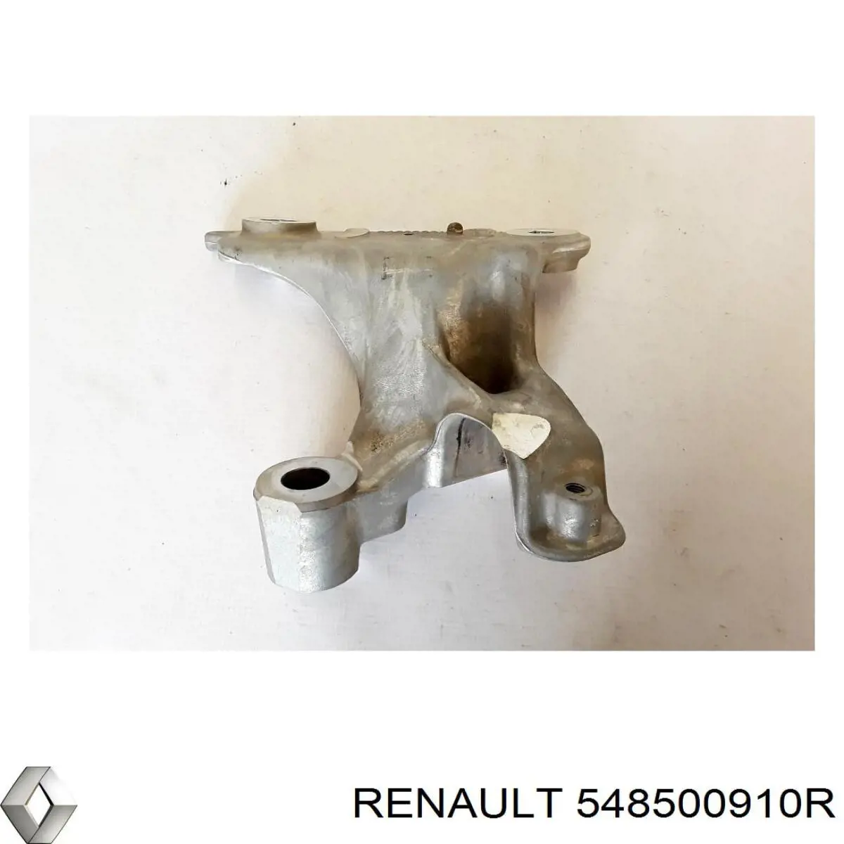 548500910R Renault (RVI) 