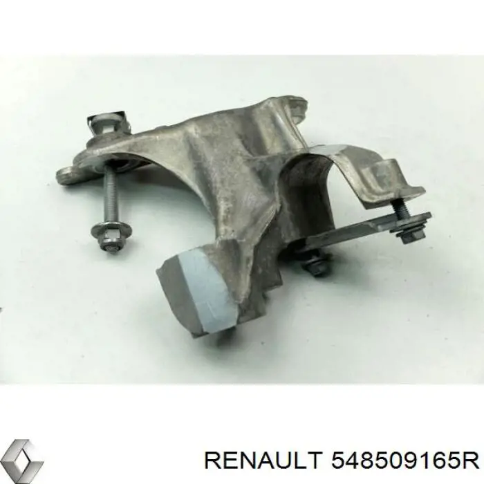 548509165R Renault (RVI)