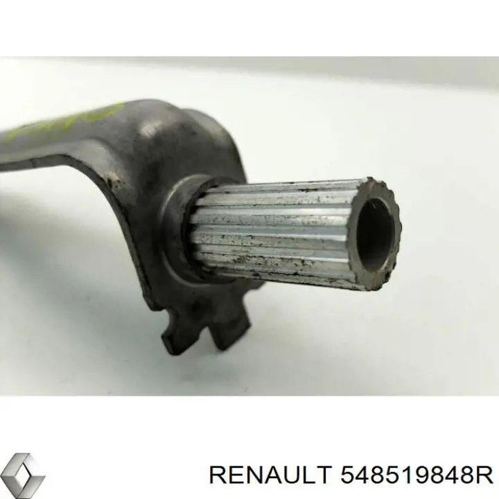  548519848R Renault (RVI)