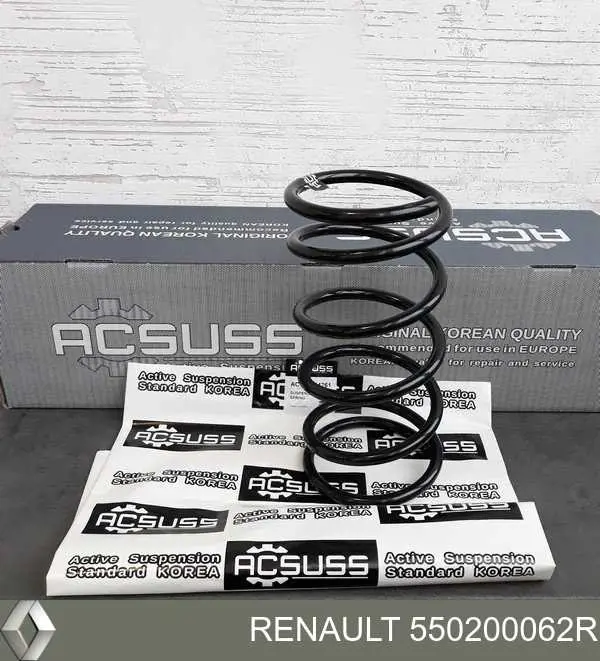 550200062R Renault (RVI) Mola traseira