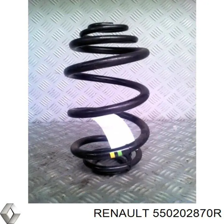 Задняя пружина 550202870R Renault (RVI)