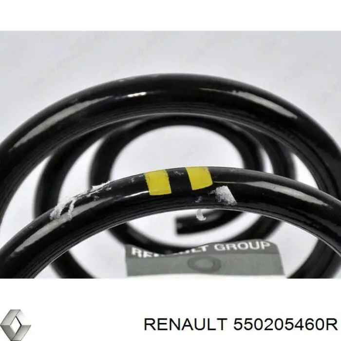 550205460R Renault (RVI) mola traseira