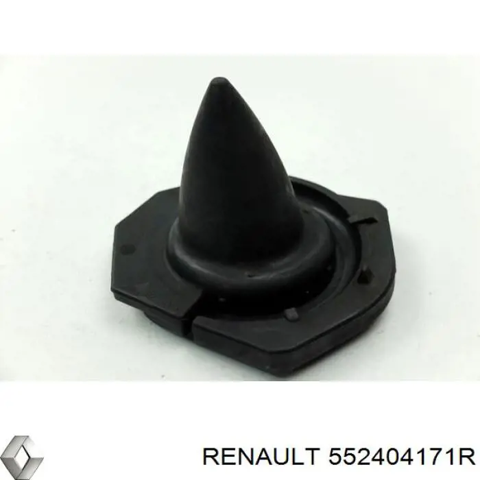  552404171R Renault (RVI)