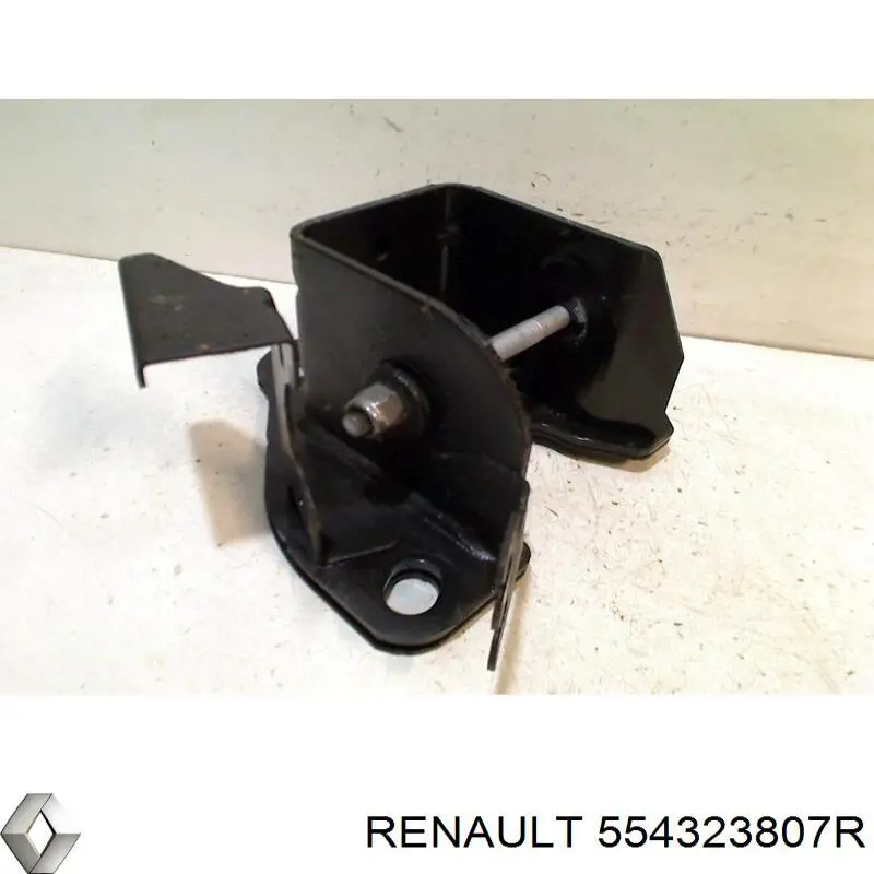 554323807R Renault (RVI) 