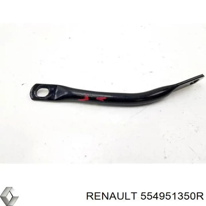 554951350R Renault (RVI) 