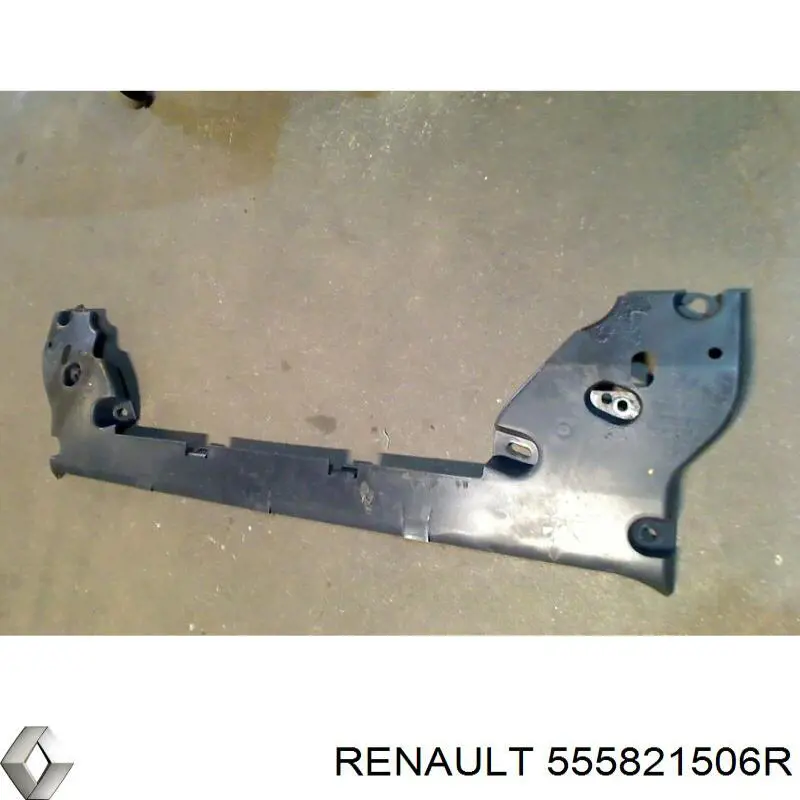 555821506R Renault (RVI) 