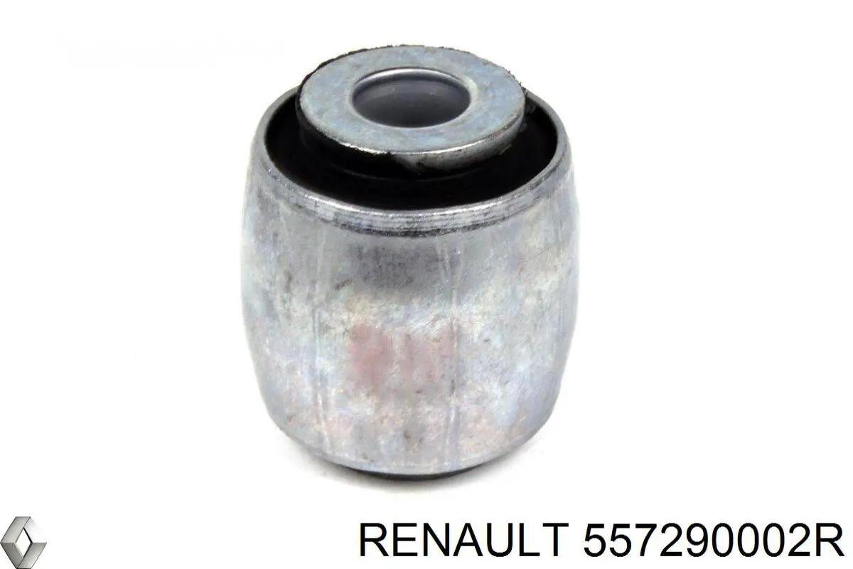 557290002R Renault (RVI)