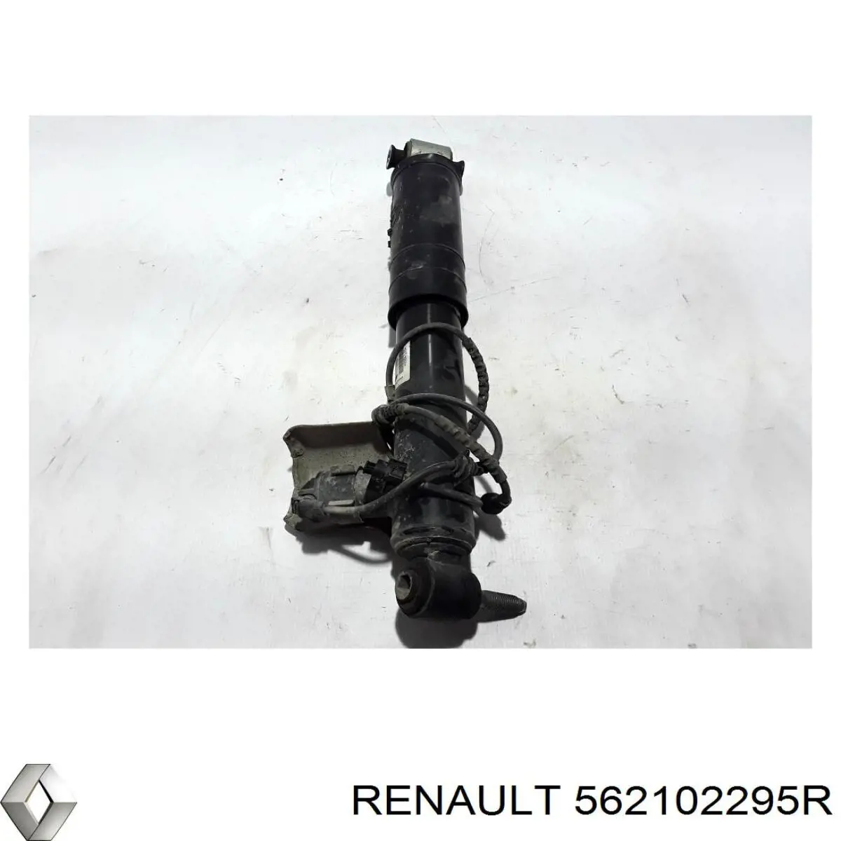 562102295R Renault (RVI) 