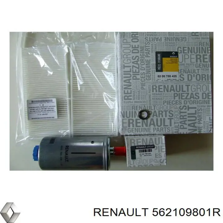 Амортизатор задний, правый Renault (RVI) 562109592R цена, от 380.35 USD
