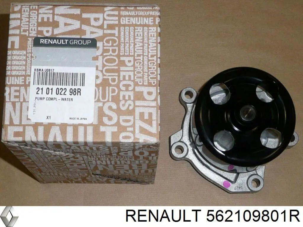 Амортизатор задний правый 562109592R Renault (RVI)