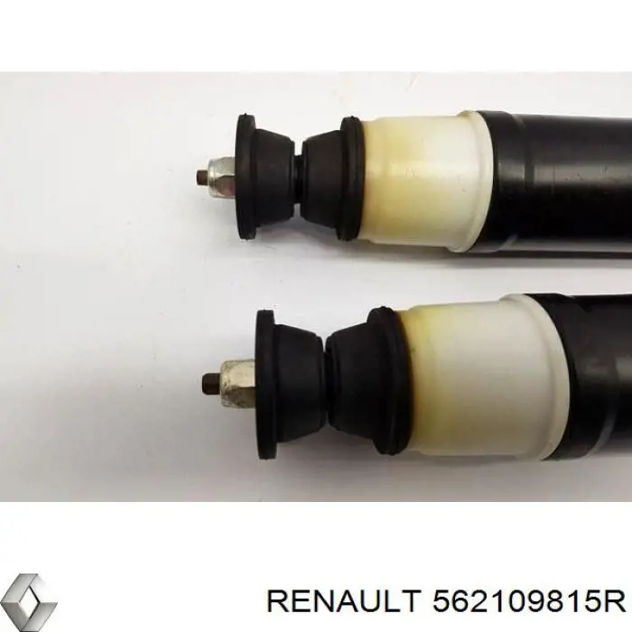 562109815R Renault (RVI) amortecedor traseiro