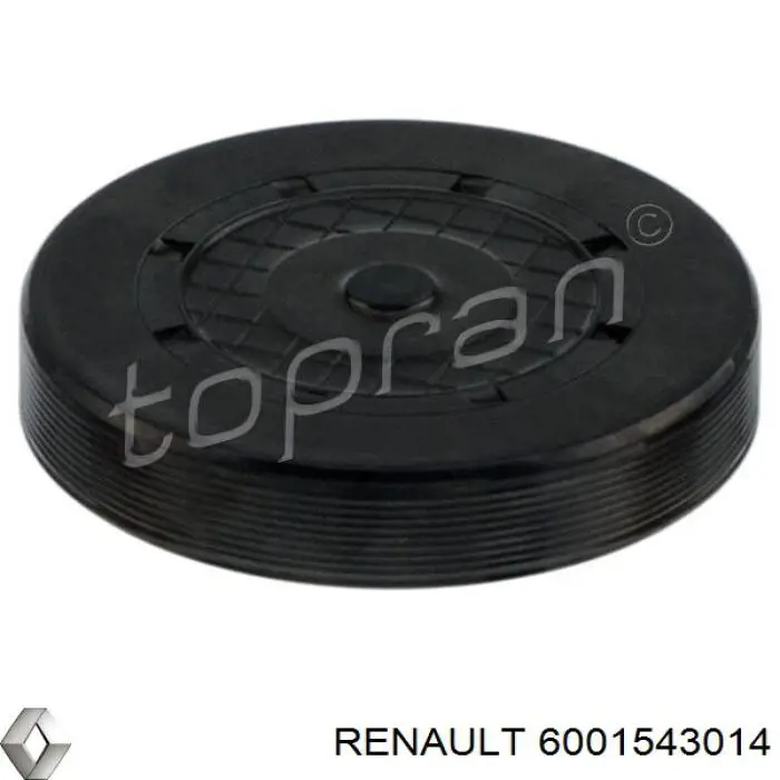 Заглушка ГБЦ/блока цилиндров Renault (RVI) 6001543014