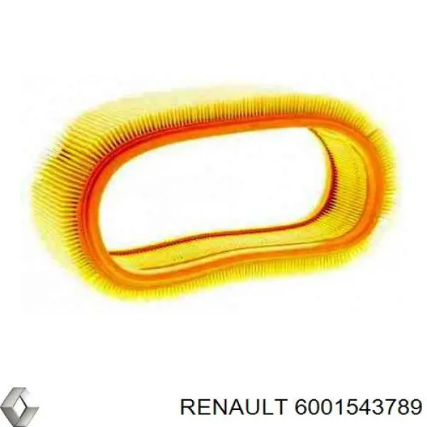 Купить 6001543789 Renault (RVI) Автомобильный фильтр воздуха