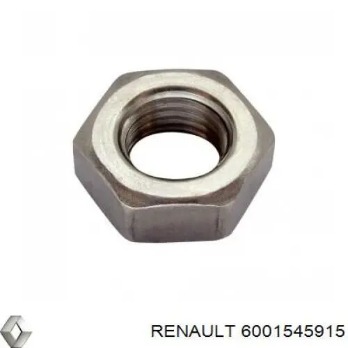 Купить 6001545915 Renault (RVI) Молдинг двери передней правой