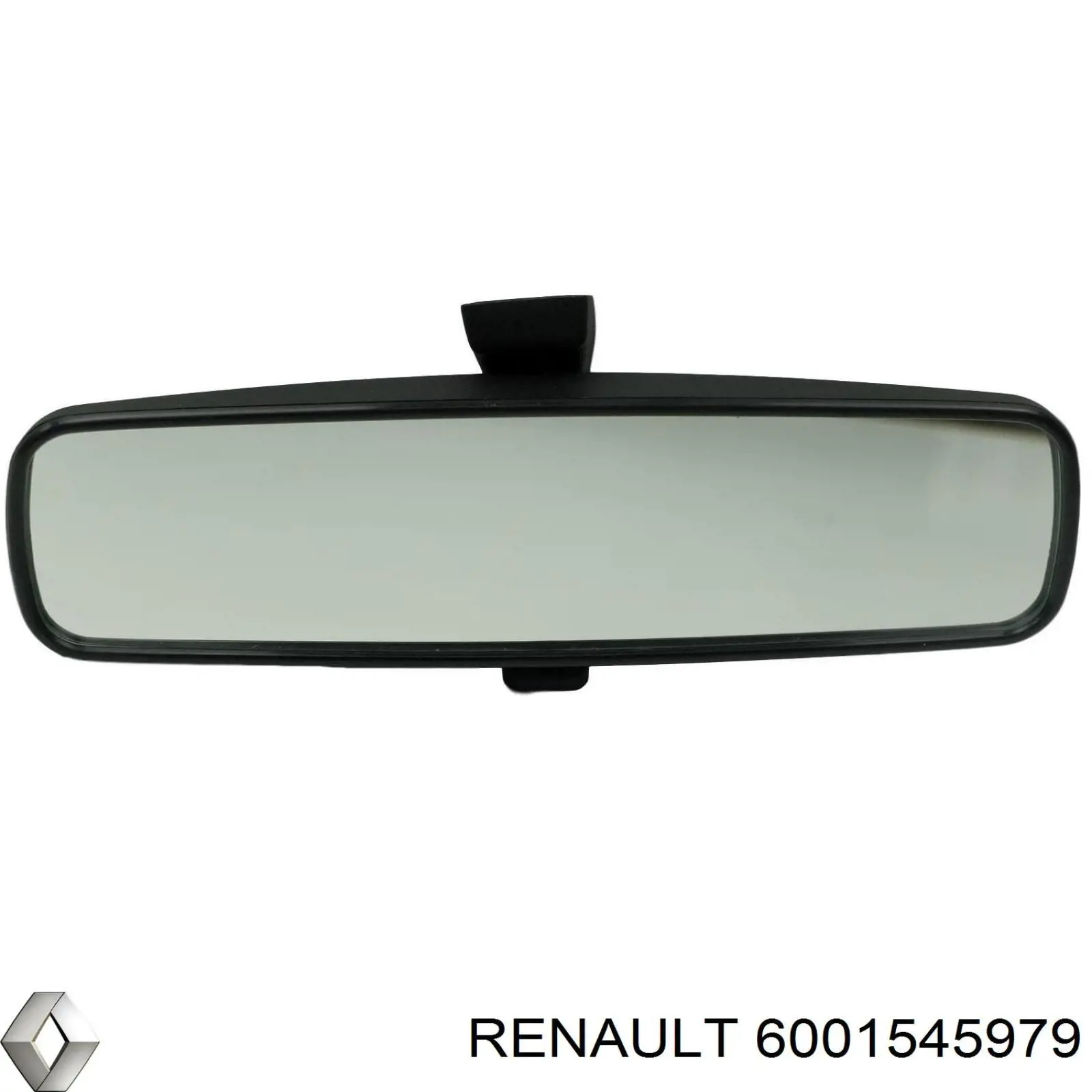 6001545979 Renault (RVI) 