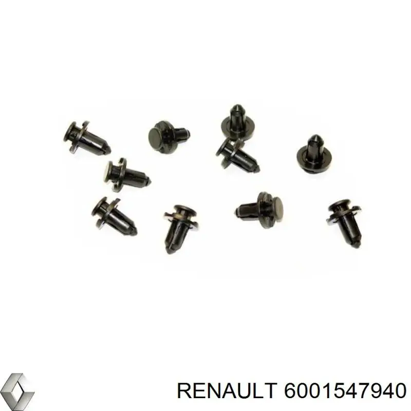 6001547940 Renault (RVI) guarda-barras direito do pára-lama dianteiro
