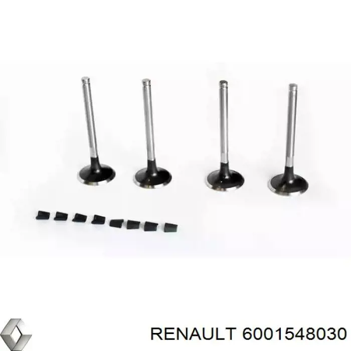 6001548030 Renault (RVI) 