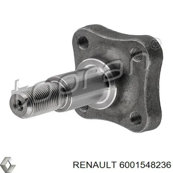 Цапфа (поворотный кулак) передний левый 6001548236 Renault (RVI)