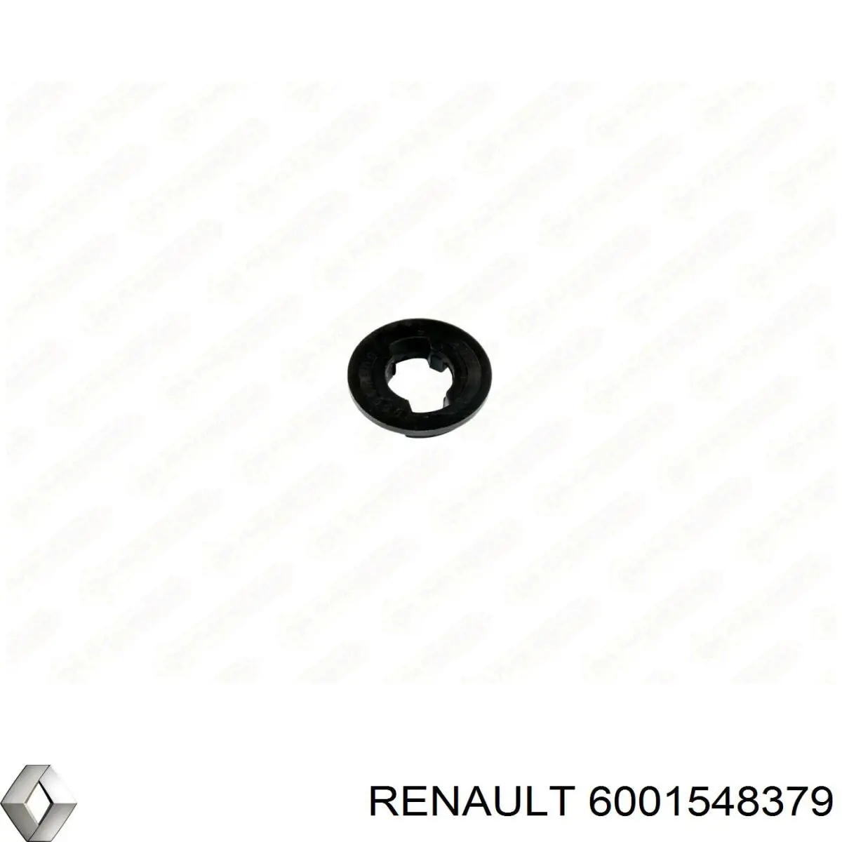 6001548379 Renault (RVI) 