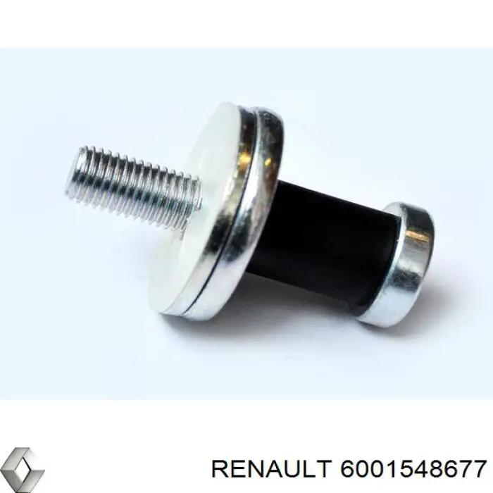 Tope de sujeción, Asegurador puerta 6001548677 Renault (RVI)