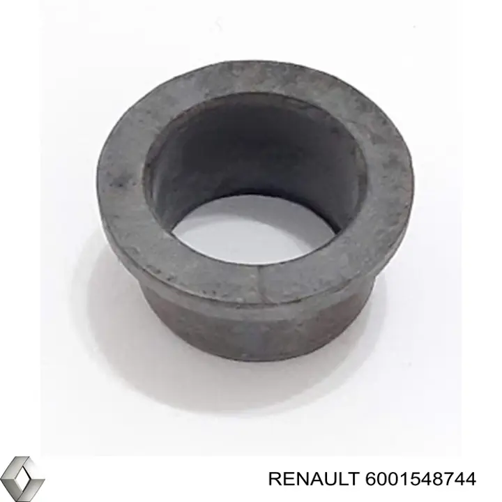 6001548744 Renault (RVI)