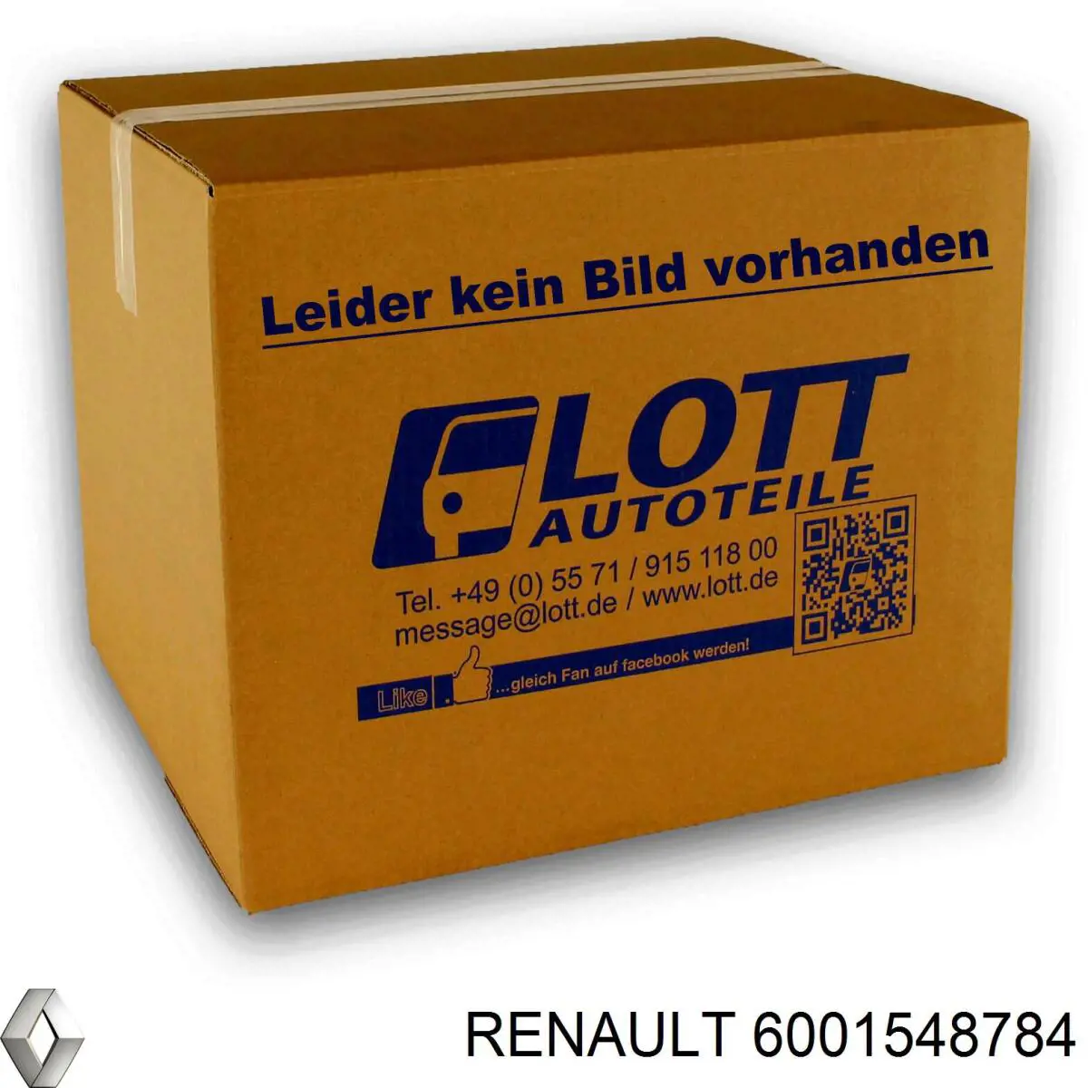 6001548784 Renault (RVI) painel traseiro da seção de bagagem
