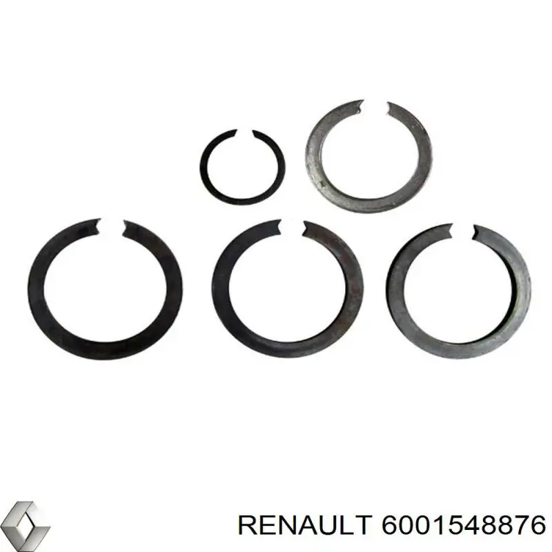 Купить 6001548876 Renault (RVI) 